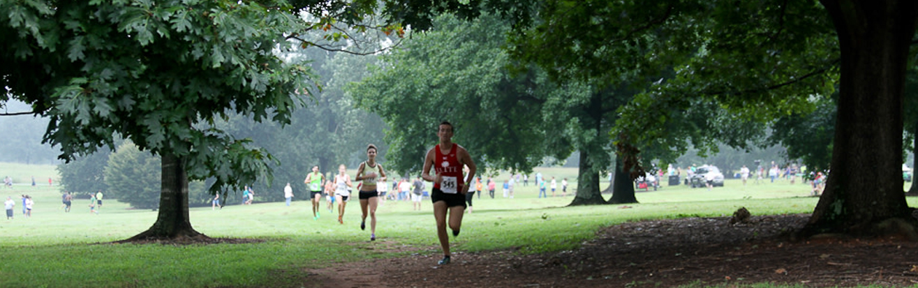 Milliken arbor